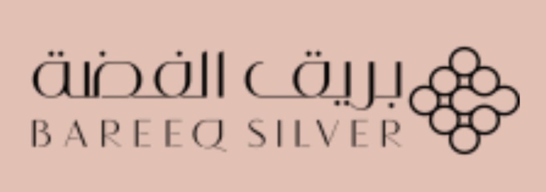 بريق الفضة logo