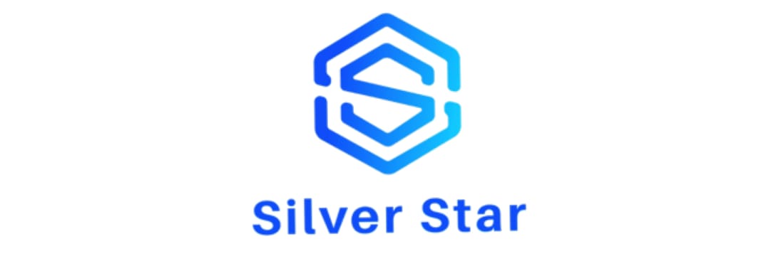 سيلفر ستار Logo