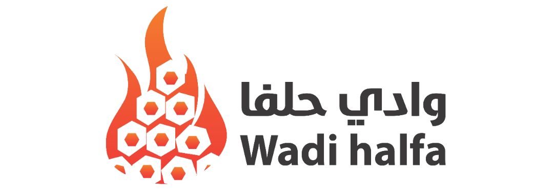 وادي حلفا wadi halfa logo
