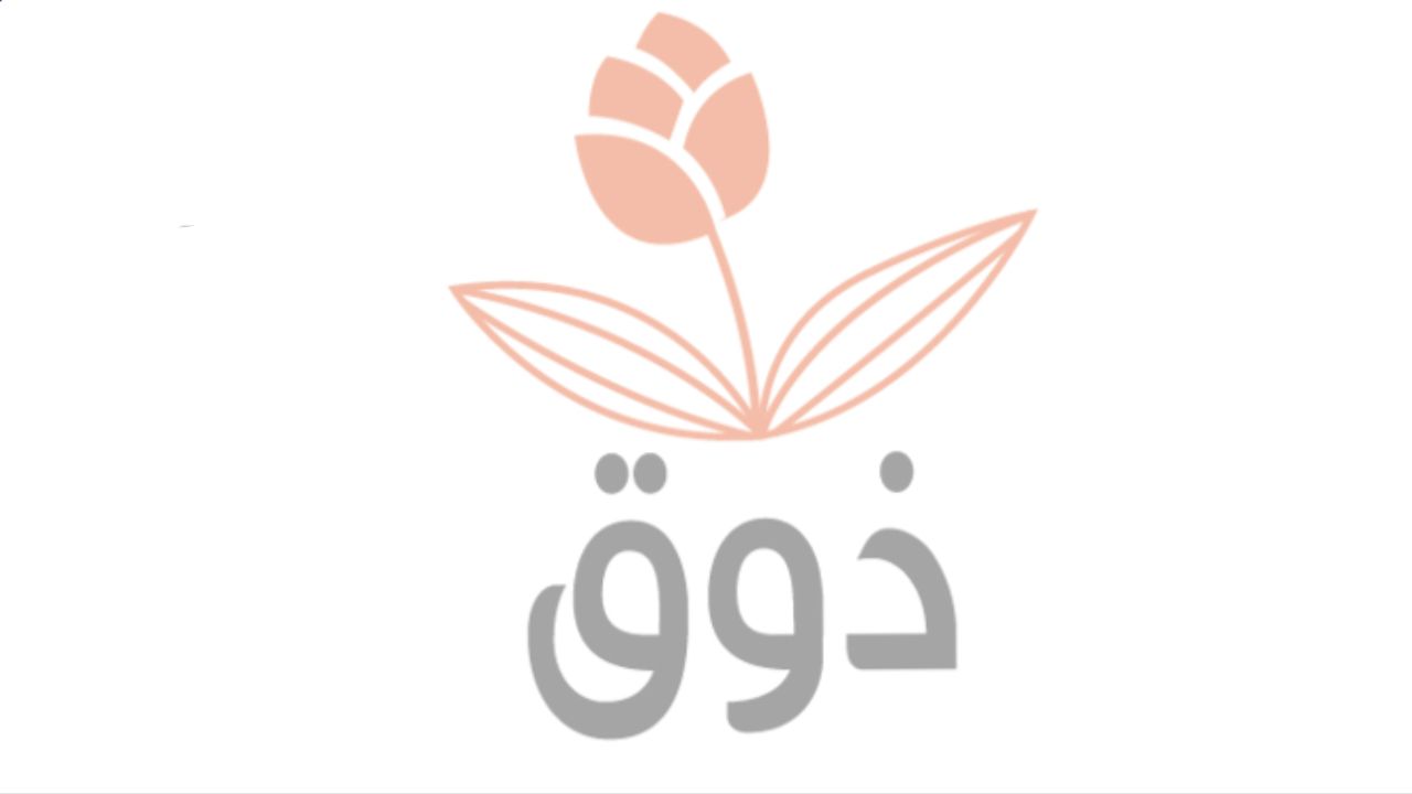 ذوق zook Logo