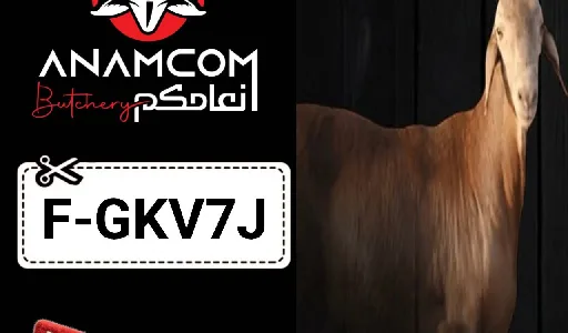كود خصم أنعامكم