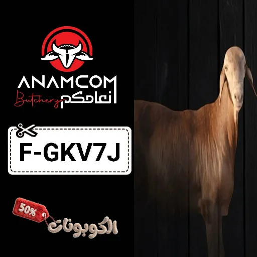 كود خصم أنعامكم