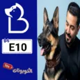 كود خصم بوك ماي بيت BookMyPet خدمات رعاية الحيوانات الاليفة