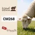 كود خصم متجر اضحية (CM268) عروض وكوبونات odhia للذبائح والأضاحي
